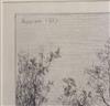 Collection of approximately 70 prints, including etchings and wood engravings.